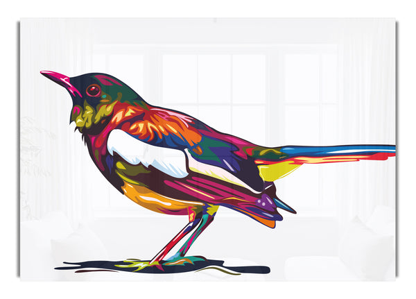 Farbklecks Amsel