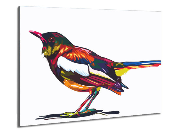 Farbklecks Amsel