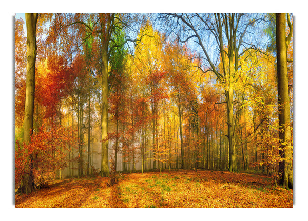 Herbstwald weich