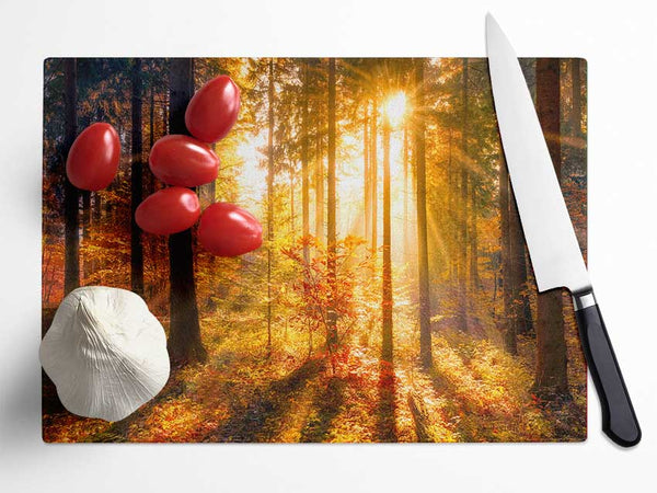 Autumn Sunray Through the forest Glass Chopping Board