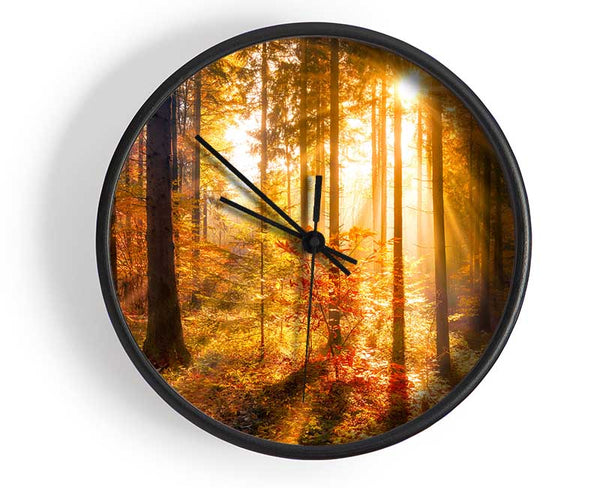 Autumn Sunray Through the forest Clock - Wallart-Direct UK