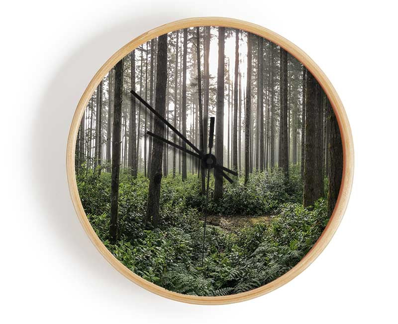 Tall trees in the old woodland Clock - Wallart-Direct UK
