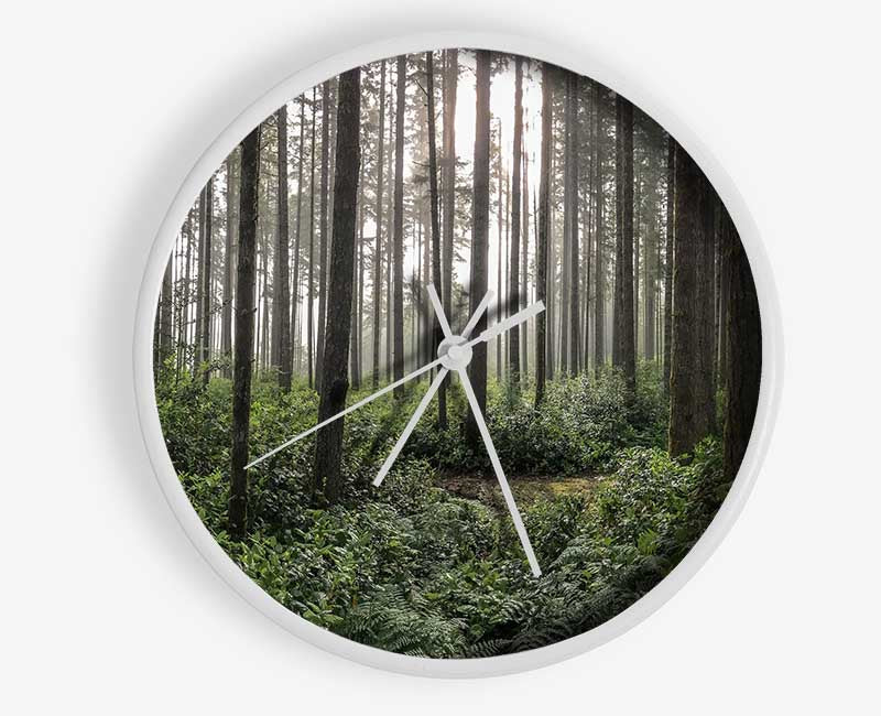 Tall trees in the old woodland Clock - Wallart-Direct UK
