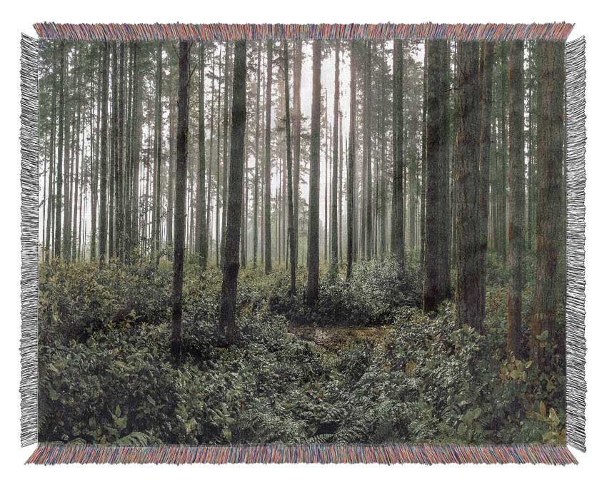 Tall trees in the old woodland Woven Blanket