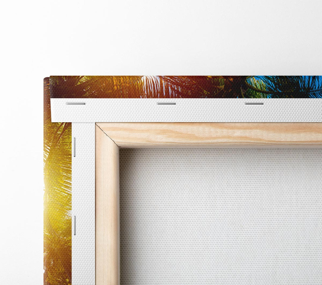  A Canvas Print of Palm tree close up on beach Canvas Wall Art