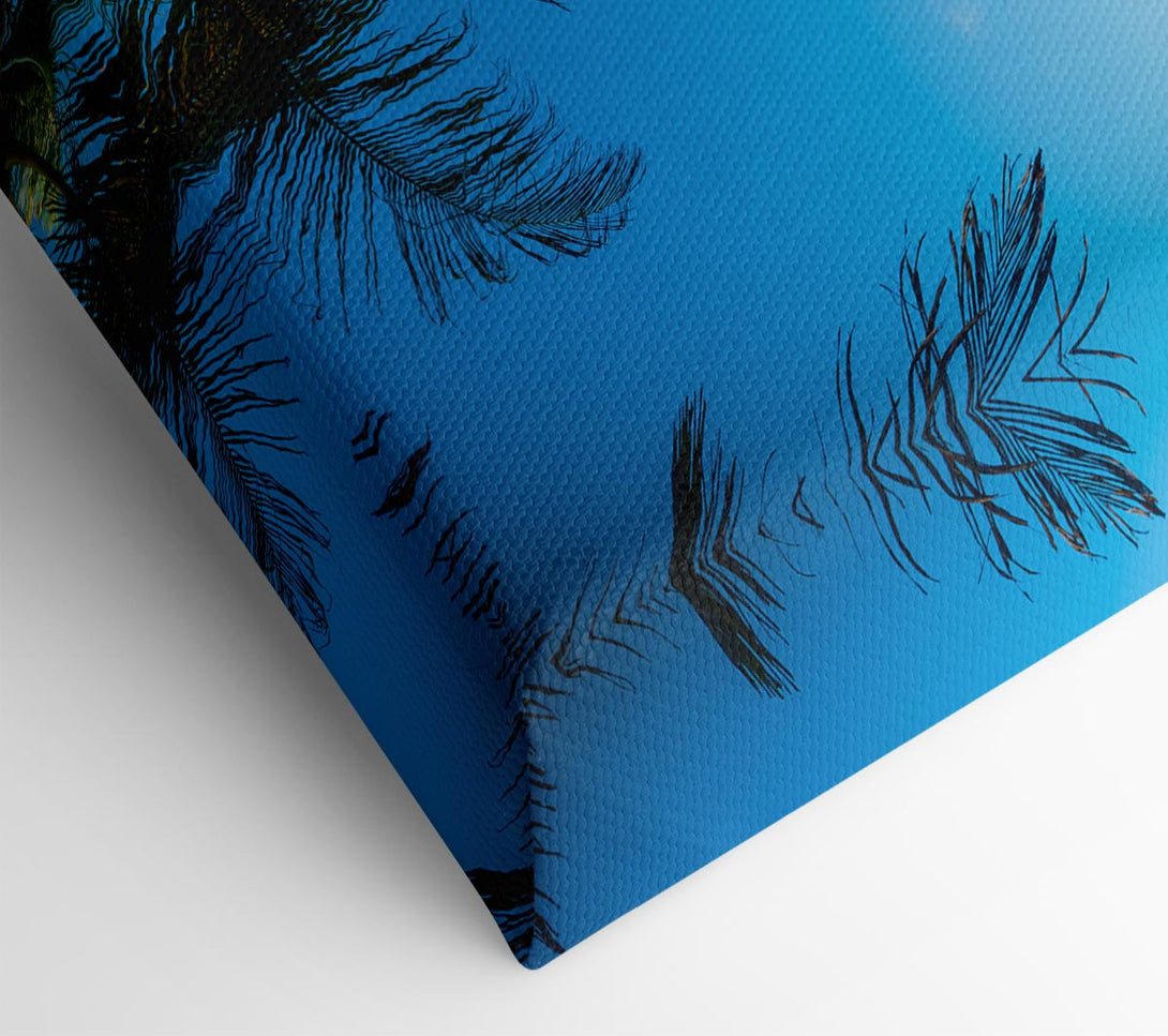  A Canvas Print of Palm tree close up on beach Canvas Wall Art