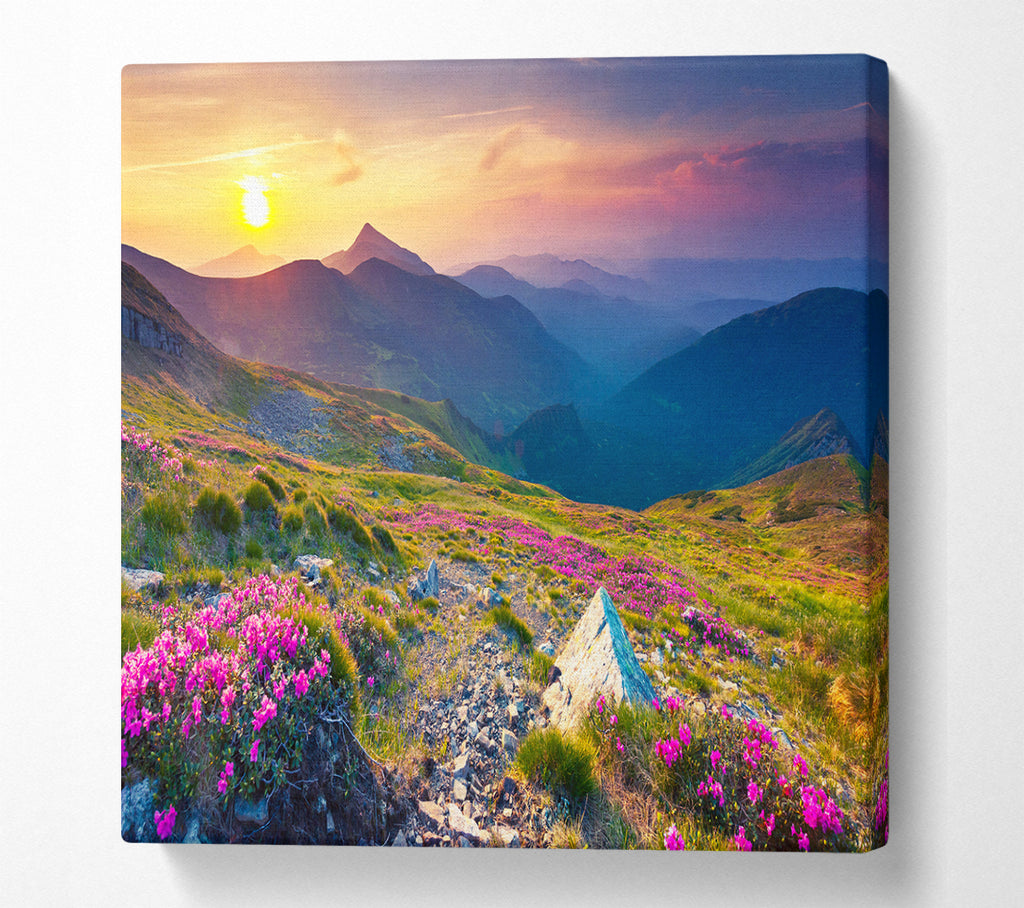 A Square Canvas Print Showing Beautiful mountain range and flowers Square Wall Art