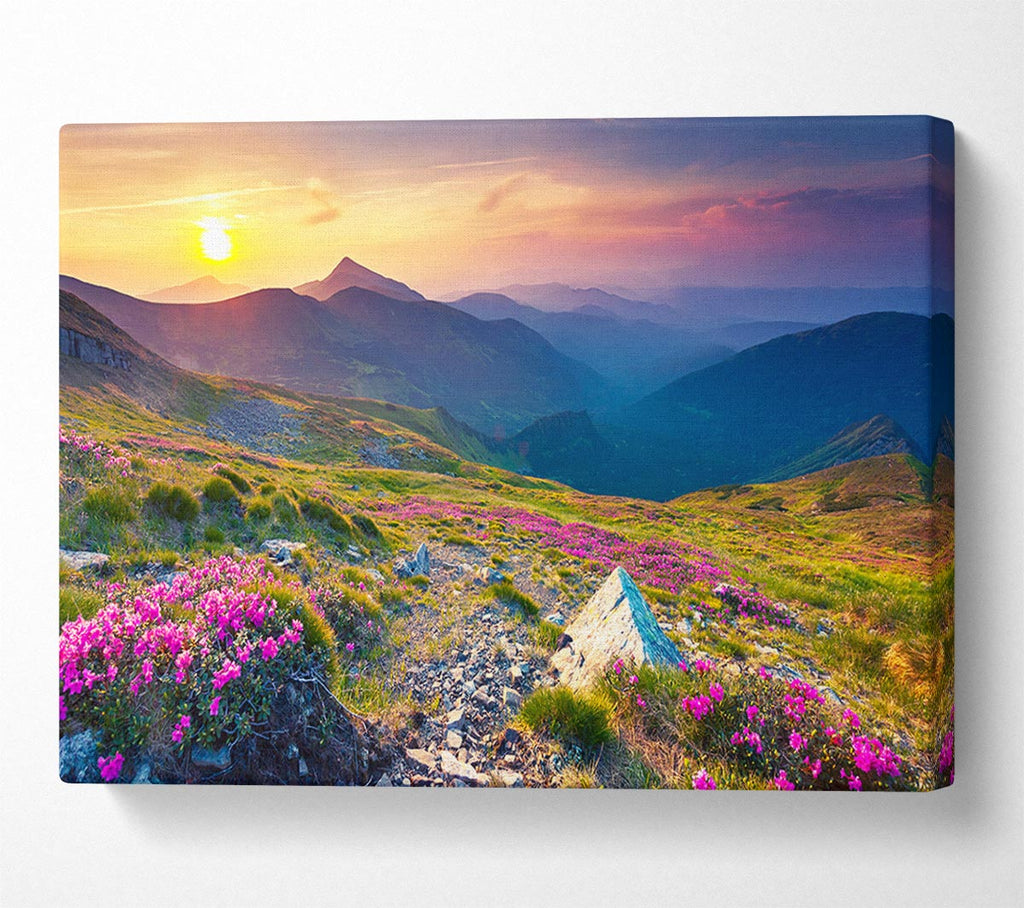Picture of Beautiful mountain range and flowers Canvas Print Wall Art