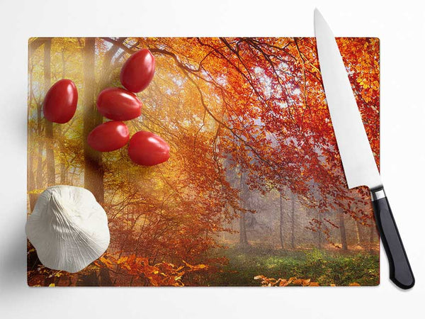 Autumn forest sunrays Glass Chopping Board