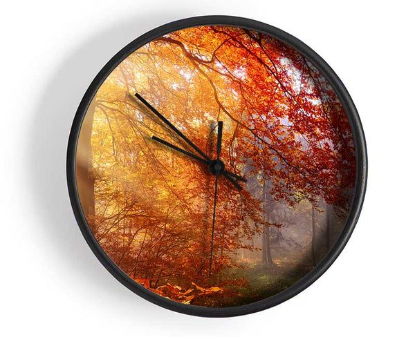 Autumn forest sunrays Clock - Wallart-Direct UK