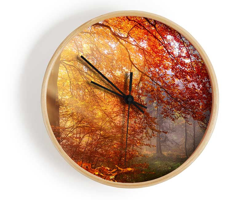 Autumn forest sunrays Clock - Wallart-Direct UK