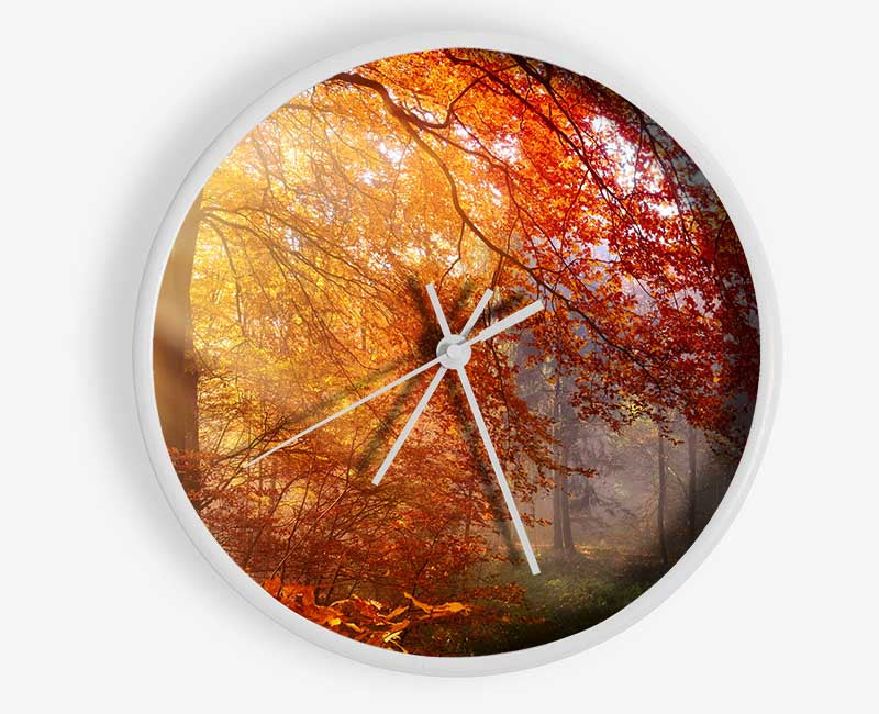 Autumn forest sunrays Clock - Wallart-Direct UK
