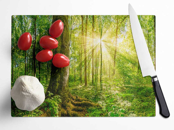 Bright light flare in the forest Glass Chopping Board