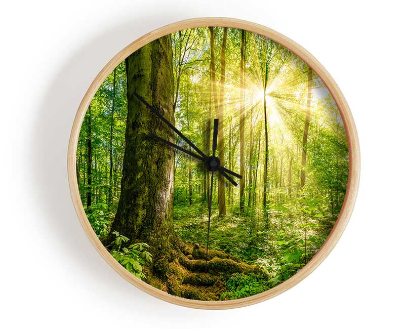 Bright light flare in the forest Clock - Wallart-Direct UK