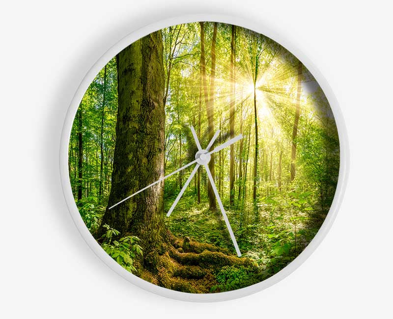 Bright light flare in the forest Clock - Wallart-Direct UK