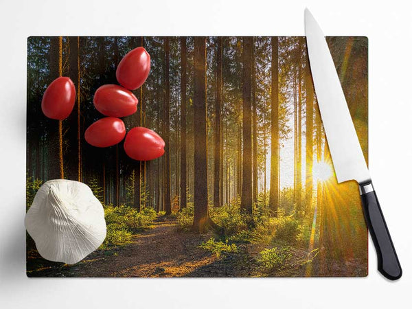 Sunrays forest spectrum Glass Chopping Board