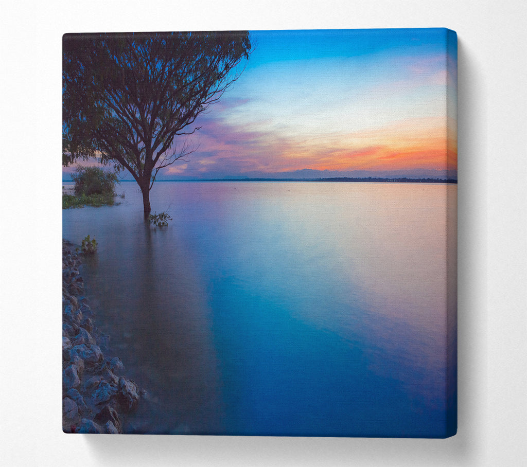 A Square Canvas Print Showing Tree in the river Square Wall Art
