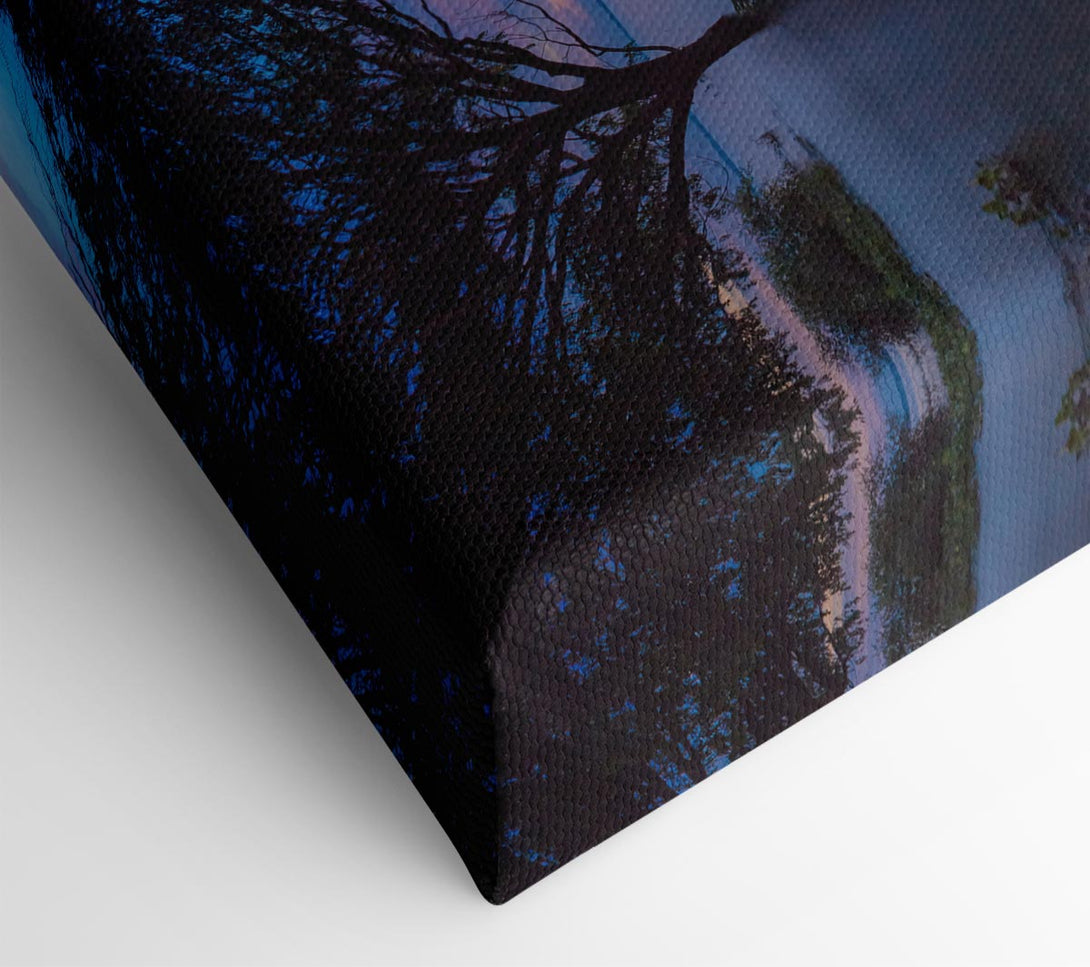 Picture of Tree in the river Canvas Print Wall Art