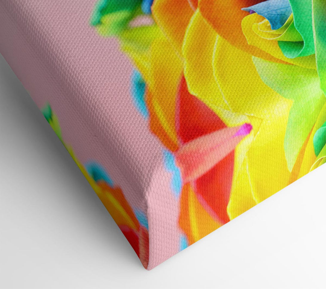  A Canvas Print of Rainbow closeup rose Canvas Wall Art