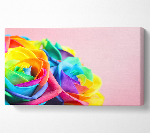 Regenbogen-Nahaufnahme stieg