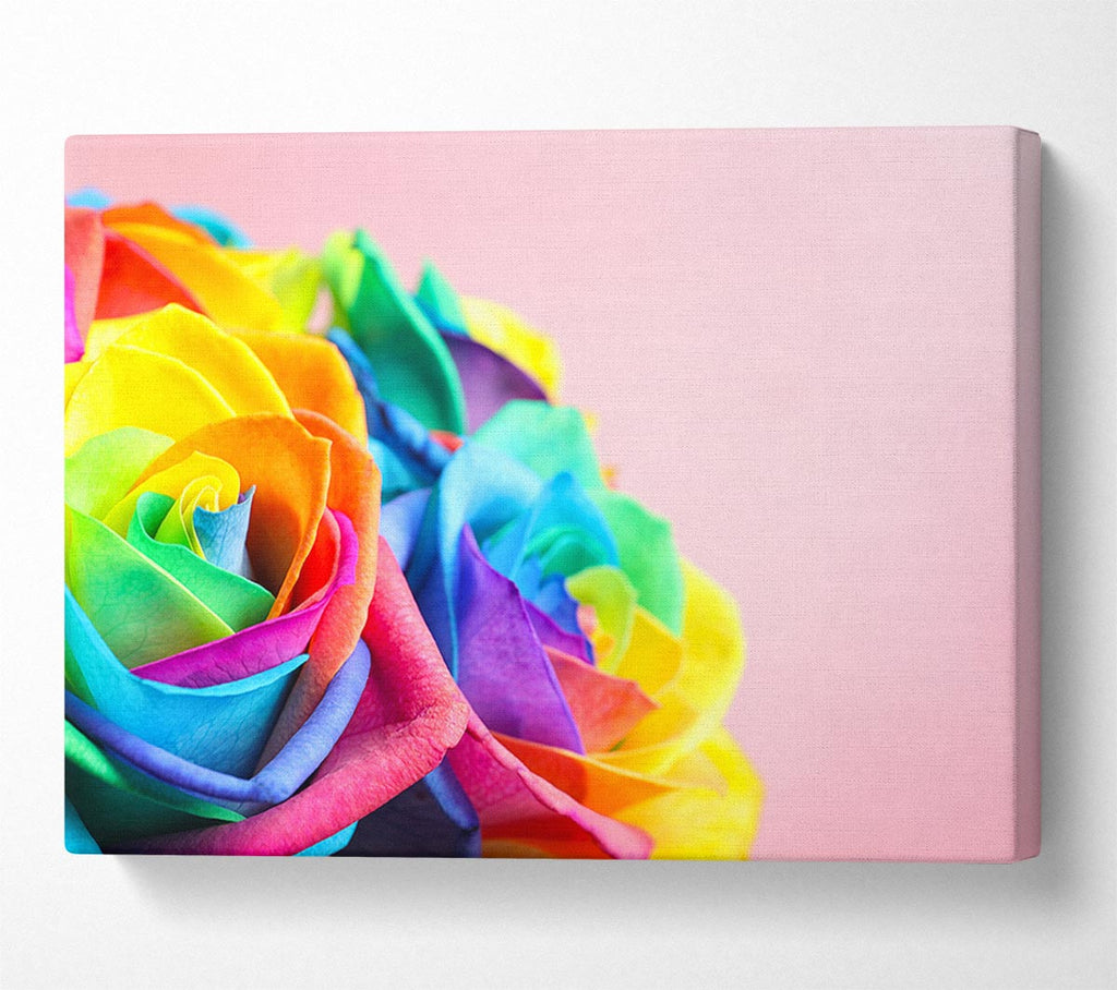 Picture of Rainbow closeup rose Canvas Print Wall Art