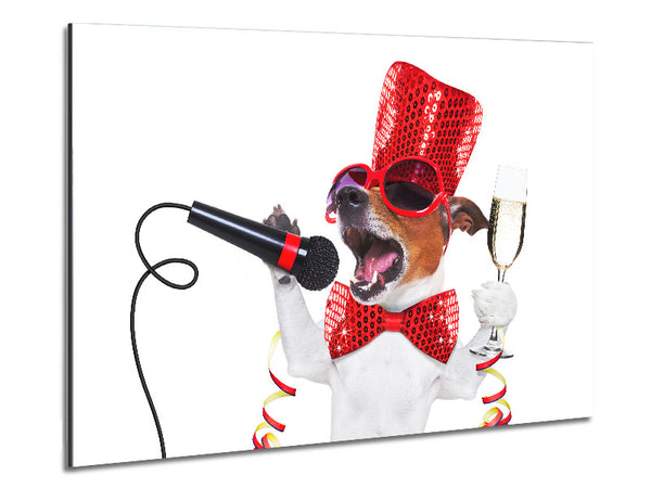 Jack russell kareoke