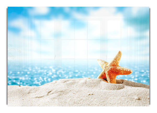 starfish on the beach