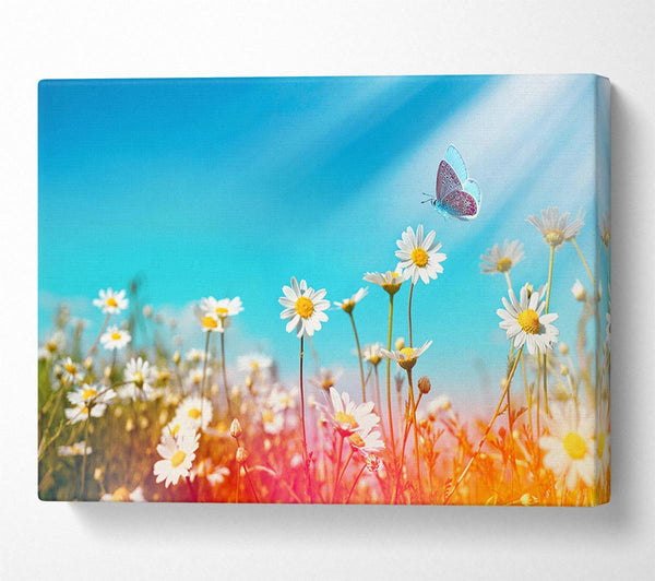 Picture of Butterfly landing on a daisy Canvas Print Wall Art