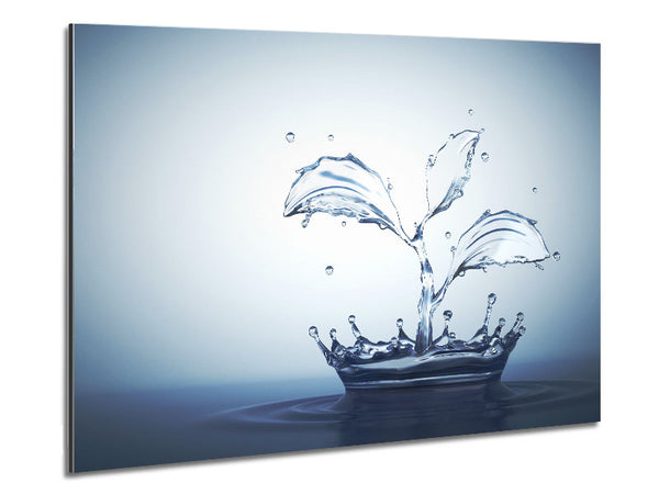Wasserspritzpflanze