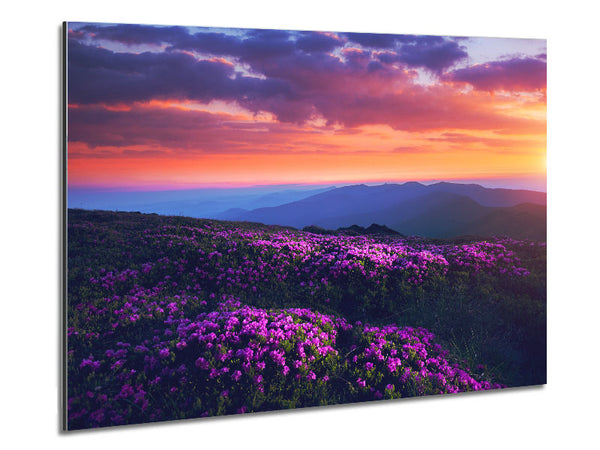 Purple Meadow mountains Metal Print