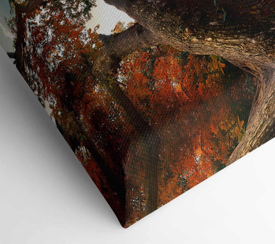  A Canvas Print of Perfect Autumn lake Canvas Print