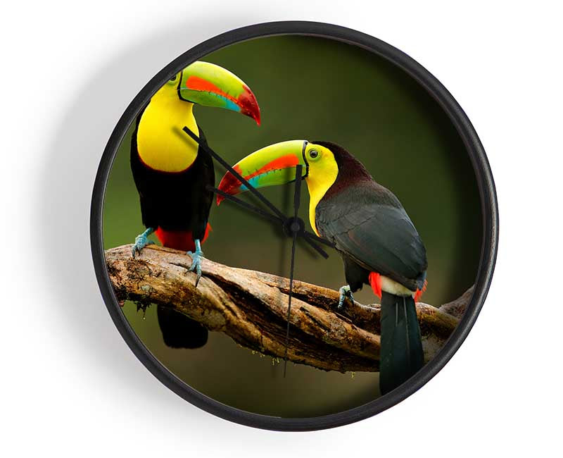 Two Toucans on branch Clock - Wallart-Direct UK
