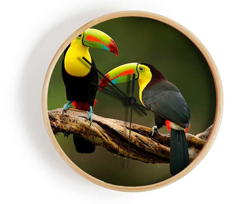 Two Toucans on branch Clock - Wallart-Direct UK