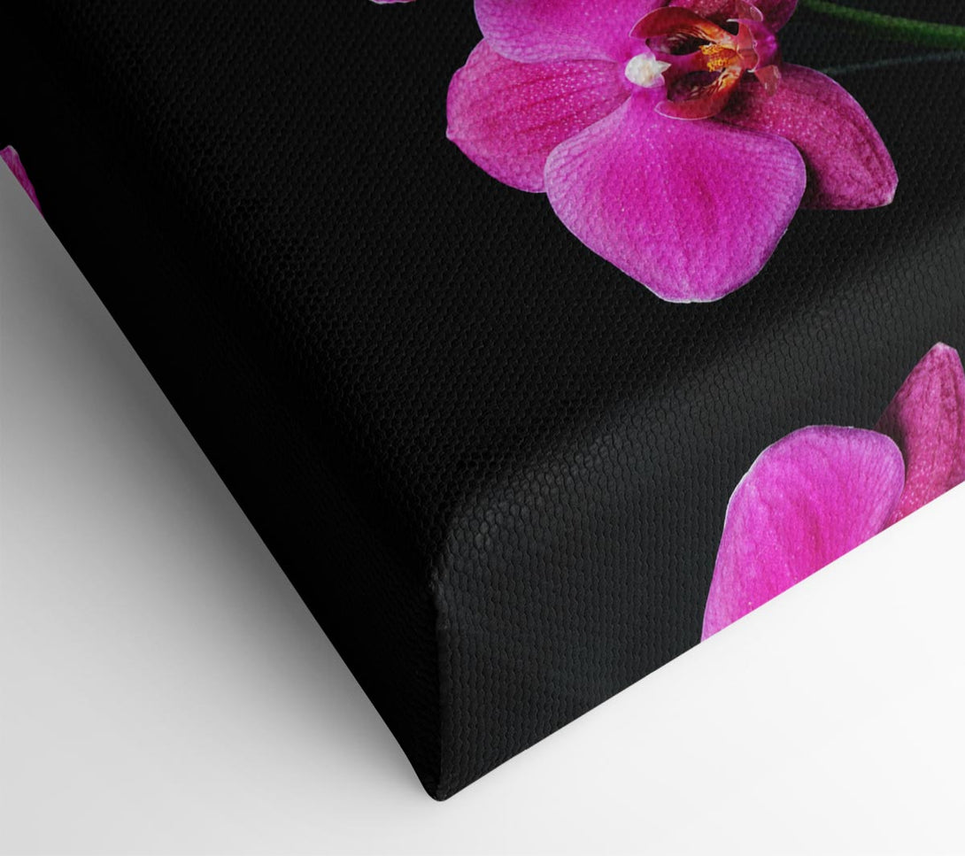  A Canvas Print of Pink Orchids Curve Canvas Wall Art