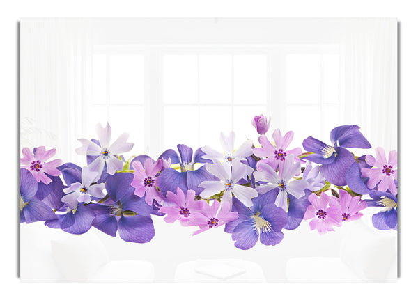 Rosa und violette Blumen ausgelegt