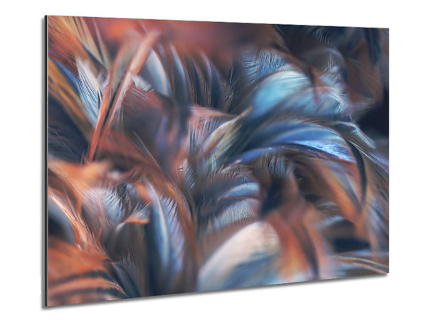 Custer of feathers Metal Print