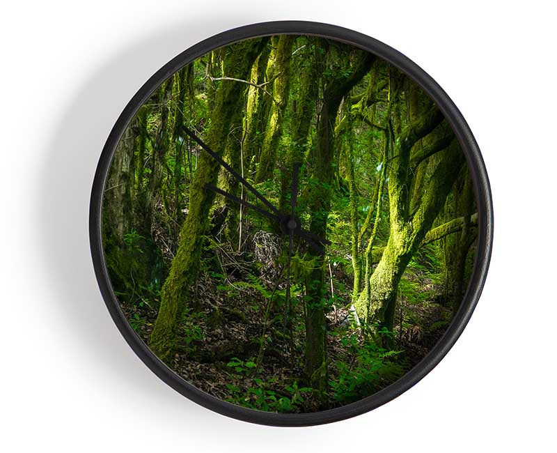 Dense Green Mossy Forest Clock - Wallart-Direct UK