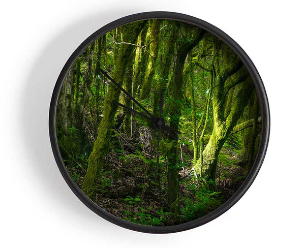 Dense Green Mossy Forest Clock - Wallart-Direct UK