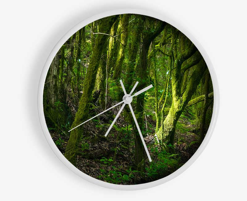 Dense Green Mossy Forest Clock - Wallart-Direct UK