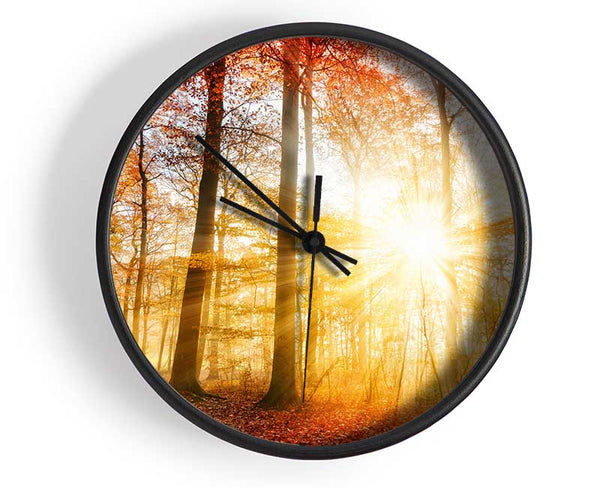 Great british autumn woodland Clock - Wallart-Direct UK