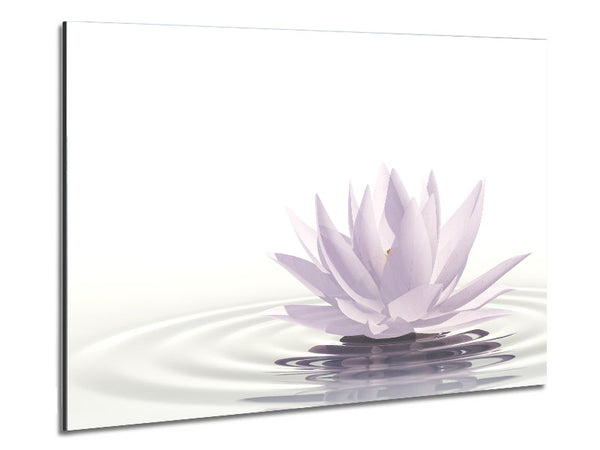 White lotus on rippled water Metal Print