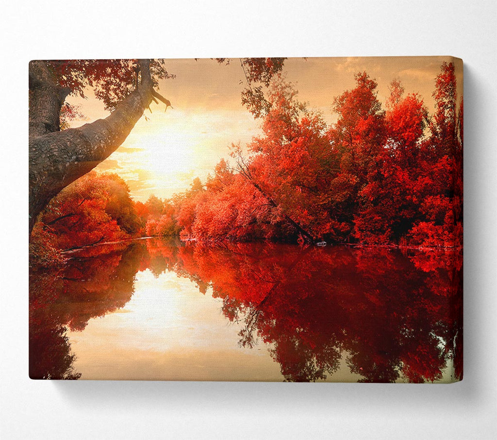 Picture of Stunning red forest reflections in the river Canvas Print Wall Art