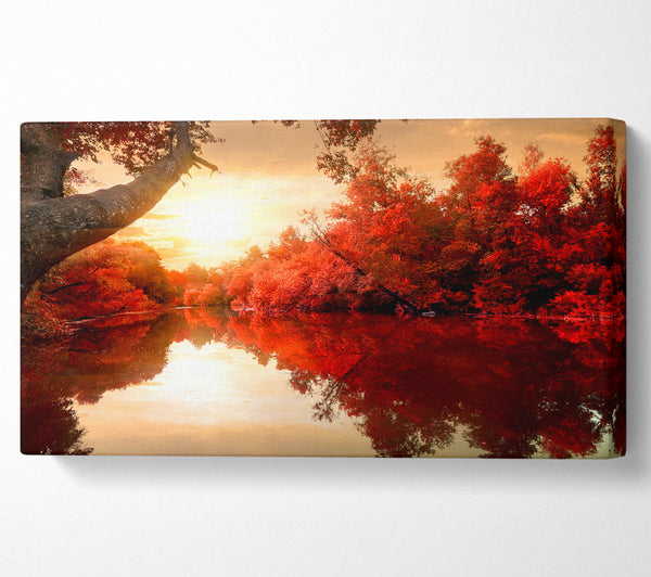 Stunning red forest reflections in the river