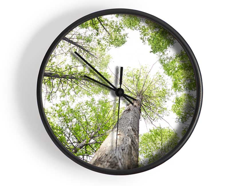 Up the tree to the skies Clock - Wallart-Direct UK