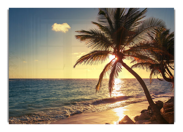 Palm tree paradise at dusk