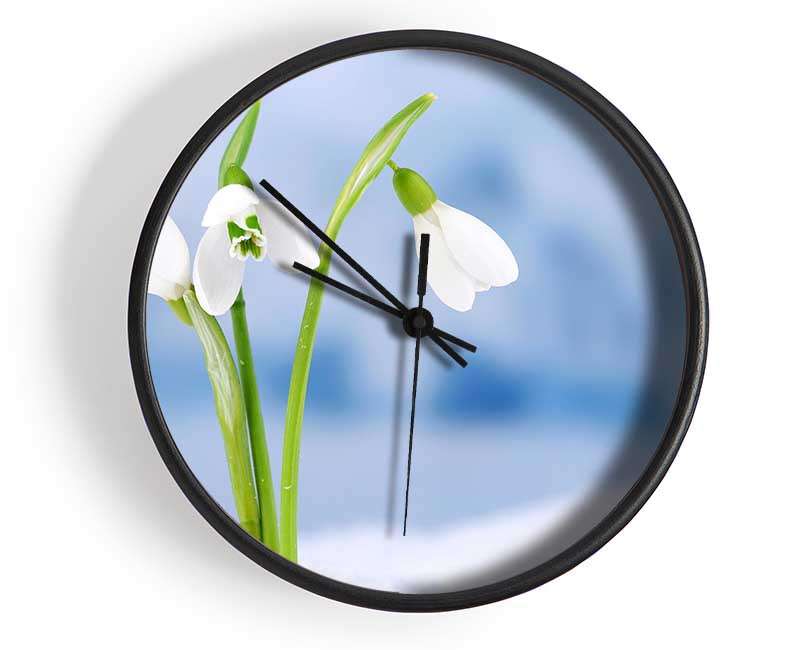 White snowdrops in the snow Clock - Wallart-Direct UK