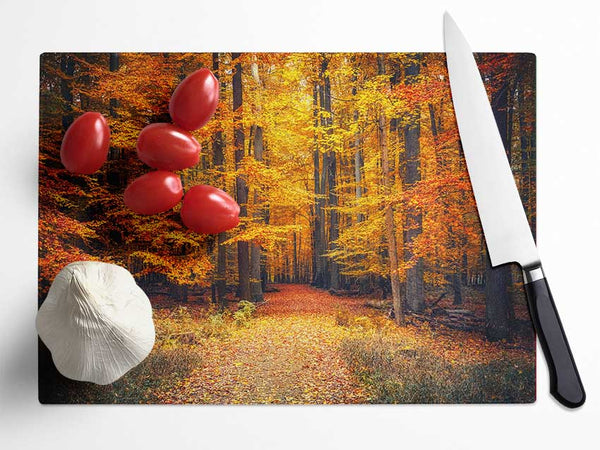 Orange woods in the autumn Glass Chopping Board