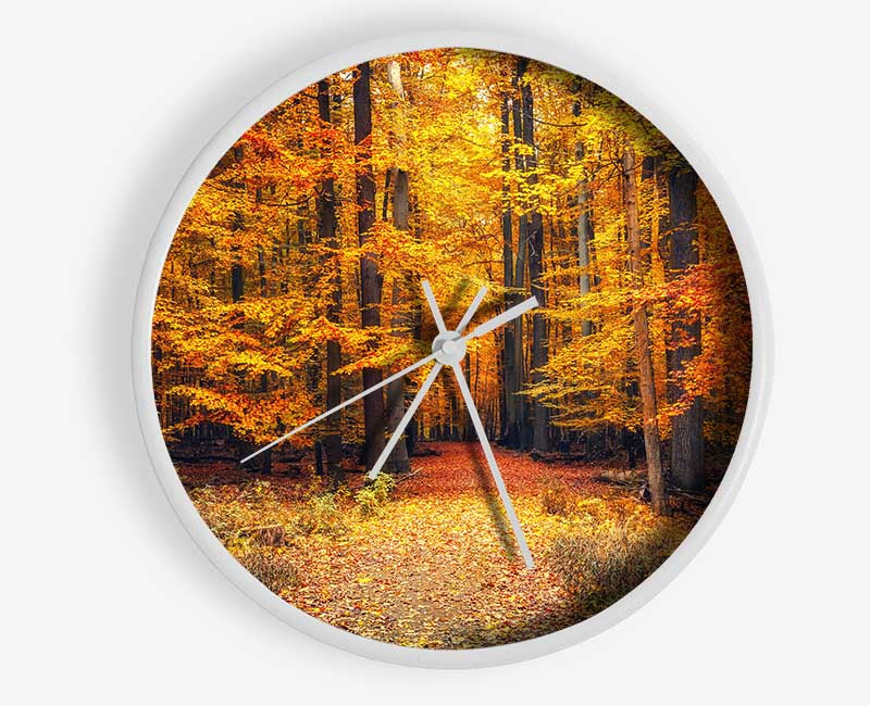 Orange woods in the autumn Clock - Wallart-Direct UK