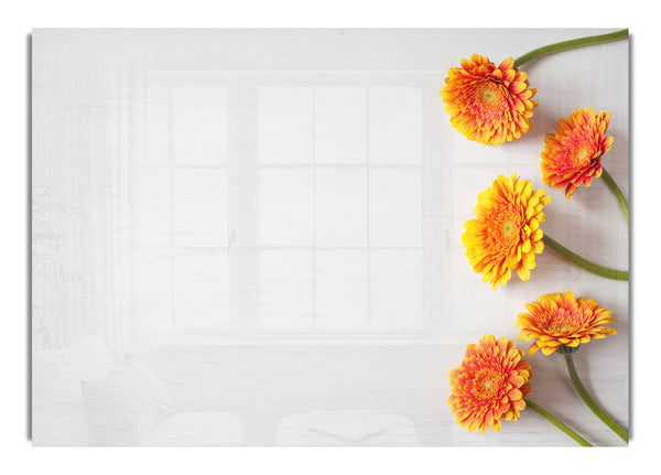 Orangefarbene Gerbera ausgelegt