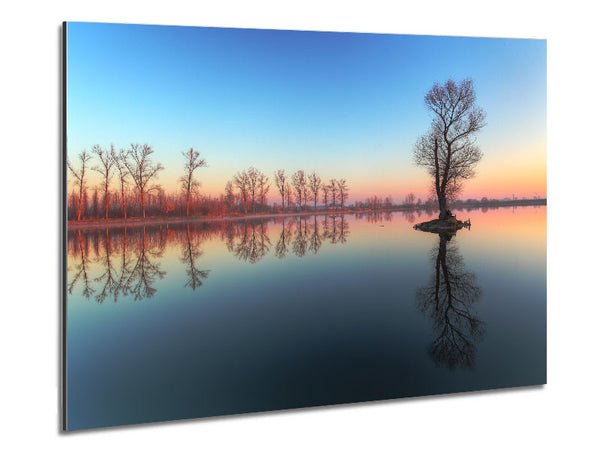 Ice cold trees in the river Metal Print